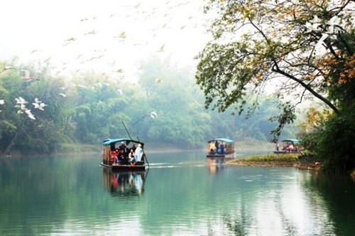 風(fēng)景