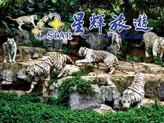 長隆野生動物園