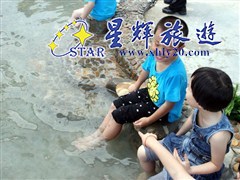 東南亞風情魚療6