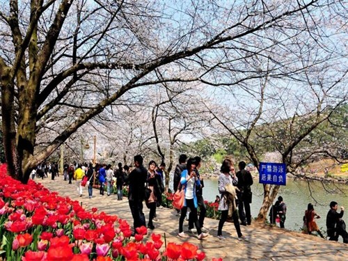 湖南省森林植物園2