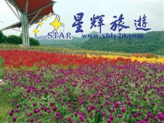 東部華僑城茶溪谷度假公園2