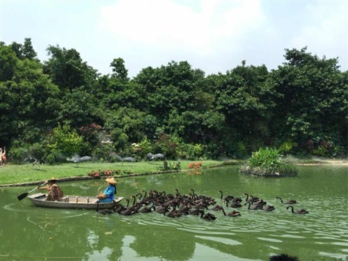 長隆飛鳥樂園1