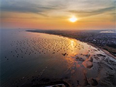 【紅海行動(dòng)?品質(zhì)精華團(tuán)】 中國(guó)第五海島?湛江東海島、奧運(yùn)帆船基地、《紅海行動(dòng)》十里軍港、 金沙灣觀海長(zhǎng)廊、豪嘆龍蝦宴 動(dòng)車3天